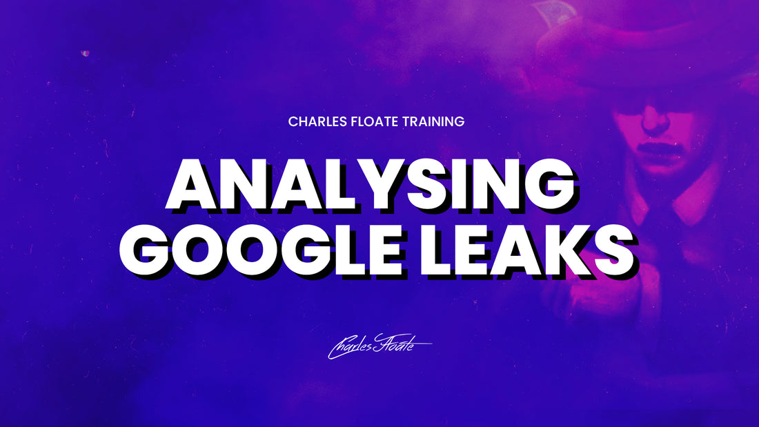 Analysing Google Leaks Using AI: A Primer