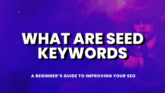 What Are Seed Keywords: A Beginner’s Guide to Improving Your SEO